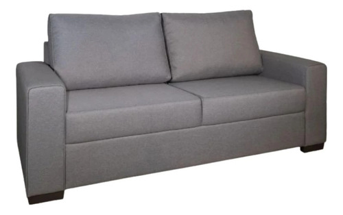 867700-MLU101684908633_122025