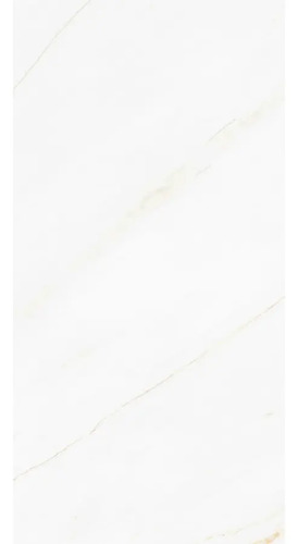 900216-MLU80024170948_102024