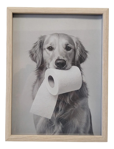 Cuadro Decorativo Para Baño Golden Retriever Acra