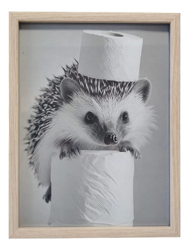 Cuadro Decorativo Para Baño Erizo Con Papel Higiénico Acra